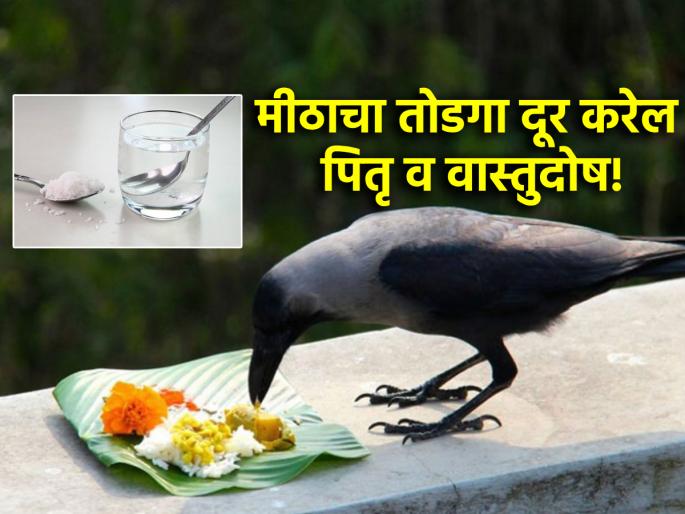 Sarva Pitru Amavasya 2024: Remembrance of Sarva Pitri with salt solution; Liberation from Pitru and Vaastu Dosha! | Sarva Pitru Amavasya 2024: सर्वपित्रीला आठवणीने करा मिठाचा तोडगा; पितृ व वास्तु दोषातून मुक्ती मिळवा!! Sarva Pitru Amavasya 2024: Remembrance of Sarva Pitri with salt solution; Liberation from Pitru and Vaastu Dosha! | Sarva Pitru Amavasya 2024: सर्वपित्रीला आठवणीने करा मिठाचा तोडगा; पितृ व वास्तु दोषातून मुक्ती मिळवा!!
