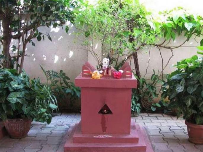 Tulasi Vivah 2024: While lighting a lamp near Tulsi say 'this' two verses; All happiness will be achieved! | Tulasi Vivah 2024: तुळशी जवळ दिवा लावताना म्हणा 'हे' दोन श्लोक; होईल सर्व सुखाची प्राप्ती! Tulasi Vivah 2024: While lighting a lamp near Tulsi say 'this' two verses; All happiness will be achieved! | Tulasi Vivah 2024: तुळशी जवळ दिवा लावताना म्हणा 'हे' दोन श्लोक; होईल सर्व सुखाची प्राप्ती!