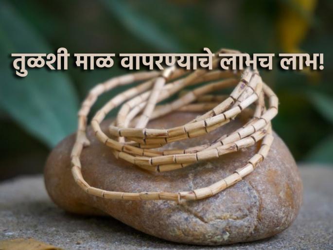 Tulasi Vivah 2024: Start using Tulsi Mala on the occasion of Tulsi Vivah; There will be 'these' benefits! | Tulasi Vivah 2024: तुळशी विवाहाच्या मुहूर्तावर तुळशी माळ वापरणे सुरू करा; होतील 'हे' फायदे! Tulasi Vivah 2024: Start using Tulsi Mala on the occasion of Tulsi Vivah; There will be 'these' benefits! | Tulasi Vivah 2024: तुळशी विवाहाच्या मुहूर्तावर तुळशी माळ वापरणे सुरू करा; होतील 'हे' फायदे!