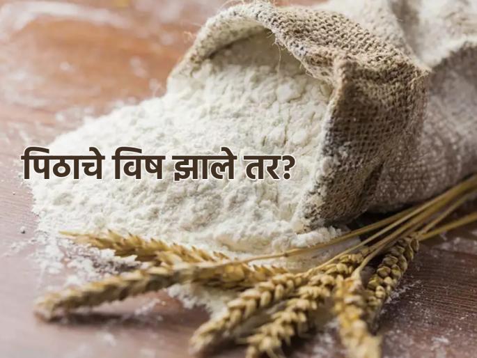 Food Tips: Dieticians say, 'It is not good to use flour for a long time'; Know the expiry date of flour! | Food Tips: आहारतज्ज्ञ सांगतात, 'पीठ फार काळ वापरणे चांगले नाही'; जाणून घ्या पिठाची कालमर्यादा!