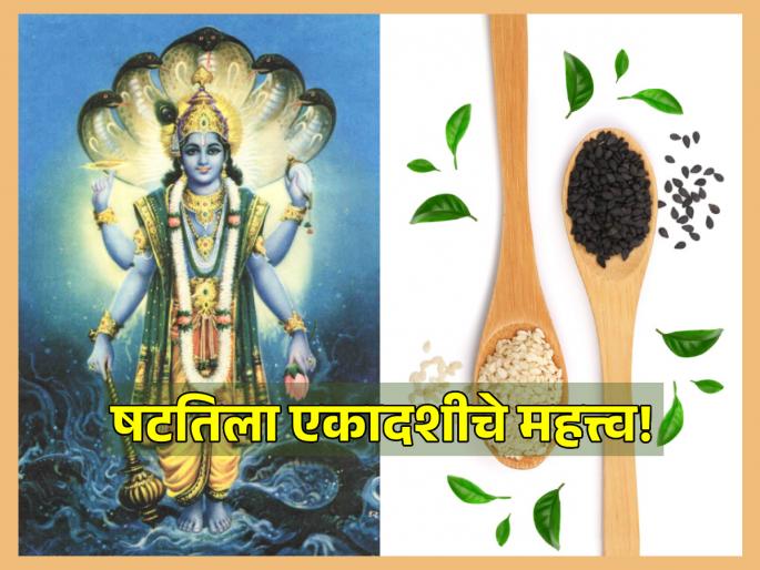 Shattila Ekadashi 2025: Information about the fast of Shattila Ekadashi and its benefits can be found in the Padma Purana! | Shattila Ekadashi 2025: षटतिला एकादशीचे व्रत आणि त्यामुळे होणारा लाभ याची माहिती मिळते पद्मपुराणात!
