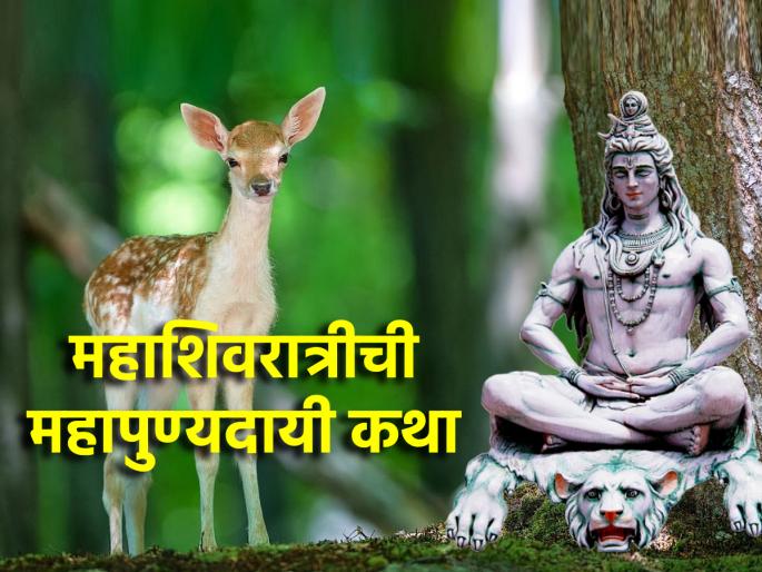 Maha Shivratri 2025: The story of Mahashivratri read today, to get moksha after death | Maha Shivratri 2025: म्युत्यूपश्चात शिवलोकी नेणारी महाशिवरात्रीची कथा आज दिवसभरात वाचाच!