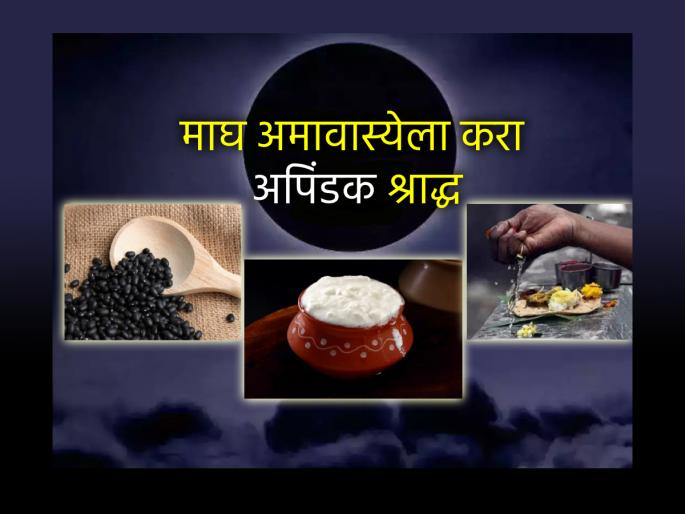 Magh Amavasya 2025: What is apindak shradhha? why it is perform on magh amavasya? read! | Magh Amavasya 2025: अपिंडक श्राद्ध म्हणजे काय? माघ अमावास्येला ते का करतात? जाणून घ्या! Magh Amavasya 2025: What is apindak shradhha? why it is perform on magh amavasya? read! | Magh Amavasya 2025: अपिंडक श्राद्ध म्हणजे काय? माघ अमावास्येला ते का करतात? जाणून घ्या!