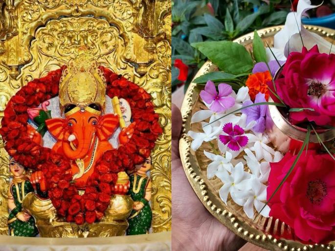 Vinayak Chaturthi 2025: What is special about Angarak Vinayak Chaturthi? Which mantra is effective? Read! | Vinayak Chaturthi 2025: अंगारक विनायक चतुर्थीचे वेगळेपण काय? कोणता मंत्र ठरतो प्रभावी? वाचा! Vinayak Chaturthi 2025: What is special about Angarak Vinayak Chaturthi? Which mantra is effective? Read! | Vinayak Chaturthi 2025: अंगारक विनायक चतुर्थीचे वेगळेपण काय? कोणता मंत्र ठरतो प्रभावी? वाचा!