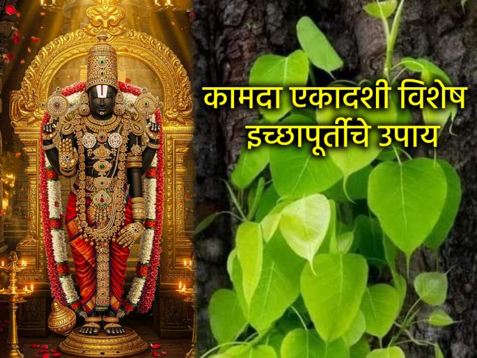 Kamada Ekadashi 2025: Pandavas observed the fast of Kamada Ekadashi to fulfill their wishes; Read the fasting rituals and benefits of fasting! | Kamada Ekadashi 2025: पांडवांनी इच्छापूर्तीसाठी केले होते कामदा एकादशीचे व्रत;वाचा व्रतविधी आणि व्रतलाभ! Kamada Ekadashi 2025: Pandavas observed the fast of Kamada Ekadashi to fulfill their wishes; Read the fasting rituals and benefits of fasting! | Kamada Ekadashi 2025: पांडवांनी इच्छापूर्तीसाठी केले होते कामदा एकादशीचे व्रत;वाचा व्रतविधी आणि व्रतलाभ!