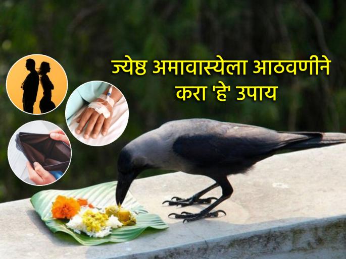 Jyeshtha Amavasya 2025: If you are not able to get rid of illness and quarrels in the house, then do this remedy on Jyeshtha Amavasya! | Jyeshtha Amavasya 2025: घरातले आजारपण, भांडणतंटा कमी होत नसेल तर ज्येष्ठ अमावास्येला करा 'हे' उपाय! Jyeshtha Amavasya 2025: If you are not able to get rid of illness and quarrels in the house, then do this remedy on Jyeshtha Amavasya! | Jyeshtha Amavasya 2025: घरातले आजारपण, भांडणतंटा कमी होत नसेल तर ज्येष्ठ अमावास्येला करा 'हे' उपाय!