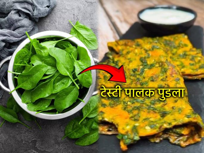 Lunchbox recipe: Kids don't eat spinach? Give them tasty spinach pudding in a box; they'll eat four instead of two | Lunchbox recipe: मुलं पालकाची भाजी खात नाहीत? डब्यात द्या टेस्टी पालक पुडला; दोनाऐवजी चार खातील