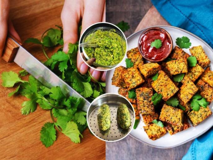 Savory, crunchy, and spicy coriander vadi will enhance the beauty of Naivedya leaves; see the recipe | Shravan Special Recipe: खमंग, खुटखुटीत, चटकदार कोथिंबीर वडी, वाढवेल शोभा नैवेद्याच्या पानाची; पाहा रेसेपी 