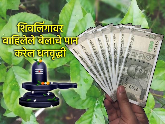 Shravan Somvar 2025: Do not throw away the betel leaf offered to Lord Shiva, it will increase wealth! | Shravan Somvar 2025: महादेवाला वाहिलेले बेलाचे पान टाकू नका, तेच करेल धनवृद्धी! Shravan Somvar 2025: Do not throw away the betel leaf offered to Lord Shiva, it will increase wealth! | Shravan Somvar 2025: महादेवाला वाहिलेले बेलाचे पान टाकू नका, तेच करेल धनवृद्धी!