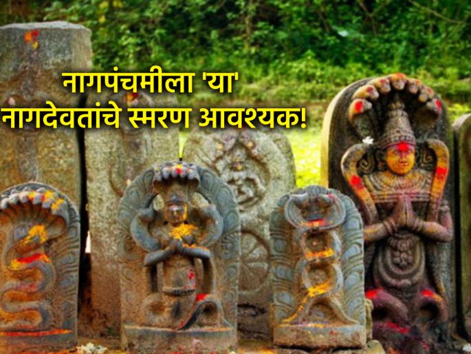 Nag Panchami 2025: Celebrate Nag Panchami with remembrance of these 8 snake; banish the fear of premature death! | Nag Panchami 2025: नागपंचमीला आठवणीने 'या' ८ नागांचे स्मरण करा; अकाली मृत्युचे भय घालवा! Nag Panchami 2025: Celebrate Nag Panchami with remembrance of these 8 snake; banish the fear of premature death! | Nag Panchami 2025: नागपंचमीला आठवणीने 'या' ८ नागांचे स्मरण करा; अकाली मृत्युचे भय घालवा!