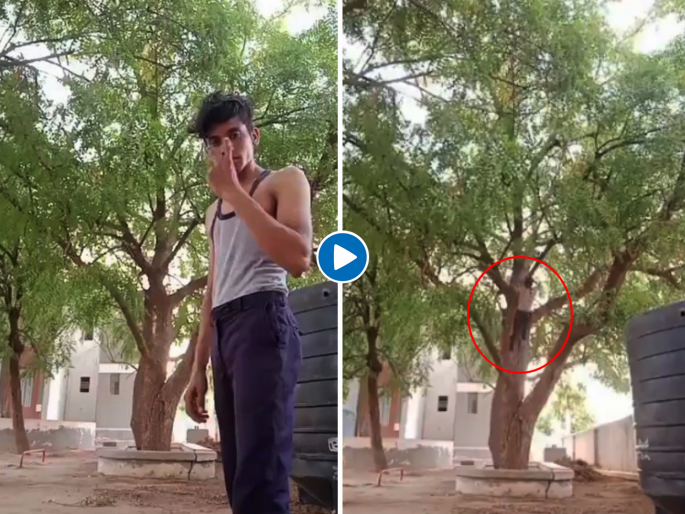 Viral video this boy climb tree in seconds will shock you | Video : 'या' तरूणाचा स्टंट पाहून तुम्ही मोगली, बगिरा, स्पायडर मॅन इतकंच काय सुपरमॅनला सुद्धा विसराल; नेमकं केलं काय ते बघा! Viral video this boy climb tree in seconds will shock you | Video : 'या' तरूणाचा स्टंट पाहून तुम्ही मोगली, बगिरा, स्पायडर मॅन इतकंच काय सुपरमॅनला सुद्धा विसराल; नेमकं केलं काय ते बघा!