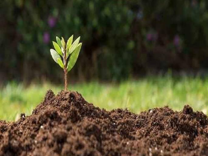 Use liquid bacterial fertilizers to increase soil fertility | जमिनीची सुपीकता वाढविण्यासाठी वापरा द्रवरूप जिवाणू खते Use liquid bacterial fertilizers to increase soil fertility | जमिनीची सुपीकता वाढविण्यासाठी वापरा द्रवरूप जिवाणू खते