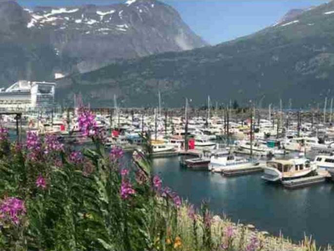 some interesting facts about alaska which us was purchased from russia | अवघ्या ७२ लाख डॉलरला रशियानं अमेरिकेला विकलं आपलं सुंदर राज्य; वाचा यामागची रंजक गोष्ट