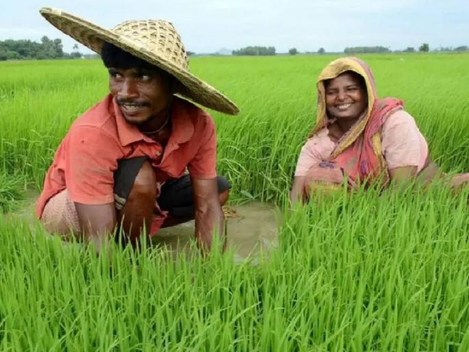 14th installment of PM Kisan deposited in farmers' accounts, Prime Minister inaugurated in Rajasthan | पीएम किसानचा 14 वा हप्ता शेतकऱ्यांच्या खात्यात जमा, राजस्थानमध्ये पंतप्रधानांनी केले लोकार्पण 14th installment of PM Kisan deposited in farmers' accounts, Prime Minister inaugurated in Rajasthan | पीएम किसानचा 14 वा हप्ता शेतकऱ्यांच्या खात्यात जमा, राजस्थानमध्ये पंतप्रधानांनी केले लोकार्पण