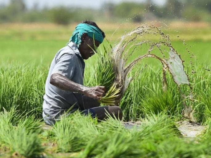 Last day to apply for crop insurance tomorrow, farmers flock to 90 setu centers in Aurangabad | पीक विम्यासाठी अर्ज करण्याचा उद्या शेवटचा दिवस,औरंगाबादमधील ९० सेतू सेवा केंद्रांवर शेतकऱ्यांची गर्दी Last day to apply for crop insurance tomorrow, farmers flock to 90 setu centers in Aurangabad | पीक विम्यासाठी अर्ज करण्याचा उद्या शेवटचा दिवस,औरंगाबादमधील ९० सेतू सेवा केंद्रांवर शेतकऱ्यांची गर्दी
