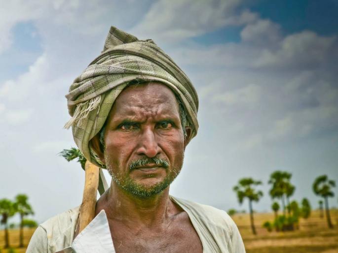 Soybean, Moong and Udi farmers in Beed will get advance crop insurance | बीडमधील सोयाबीन, मूग व उडीद उत्पादक शेतकऱ्यांना मिळणार अग्रीम पीक विमा Soybean, Moong and Udi farmers in Beed will get advance crop insurance | बीडमधील सोयाबीन, मूग व उडीद उत्पादक शेतकऱ्यांना मिळणार अग्रीम पीक विमा