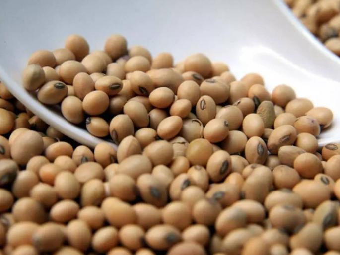 Soybeans got the highest price today in this market committee, know today's market price | 'या' बाजारसमितीत आज सोयाबीनला मिळाला सर्वाधिक भाव, जाणून घ्या आजचे बाजारभाव
