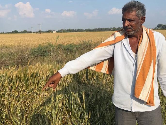 Directions for creation of 'smart' planning program for development of small, marginal farmers and new entrepreneurs | विदर्भ, मराठवाड्यातील प्रमुख पिकांसाठी नाविन्यपूर्ण प्रकल्प राबवा Directions for creation of 'smart' planning program for development of small, marginal farmers and new entrepreneurs | विदर्भ, मराठवाड्यातील प्रमुख पिकांसाठी नाविन्यपूर्ण प्रकल्प राबवा