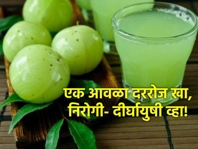 Amalaki Ekadashi 2024: Auspicious amla that bestows health and longevity; Let's know the importance of Amlaki Ekadashi! | Amalaki Ekadashi 2024: गुणकारी आवळा देतो निरोगी दीर्घायुष्य; आमलकी एकादशीनिमित्त जाणून घेऊया महत्त्व! Amalaki Ekadashi 2024: Auspicious amla that bestows health and longevity; Let's know the importance of Amlaki Ekadashi! | Amalaki Ekadashi 2024: गुणकारी आवळा देतो निरोगी दीर्घायुष्य; आमलकी एकादशीनिमित्त जाणून घेऊया महत्त्व!
