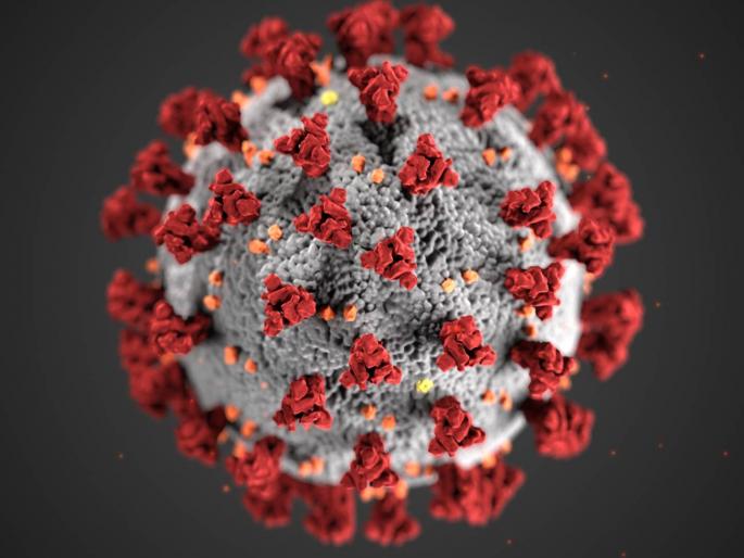 CoronaVirus News Recent Evidence Points To Natural Origin Of covid 19 | CoronaVirus News: कोरोनाचा जन्म कसा झाला? वैज्ञानिकांना सापडला महत्त्वाचा पुरावा CoronaVirus News Recent Evidence Points To Natural Origin Of covid 19 | CoronaVirus News: कोरोनाचा जन्म कसा झाला? वैज्ञानिकांना सापडला महत्त्वाचा पुरावा