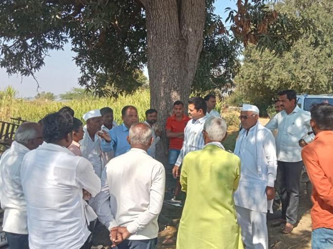 Latur: Leopard found dead; However, footprints are not of a leopard, incident in Renapur taluka | Latur: मृतावस्थेत आढळला माेर; मात्र, ठसे बिबट्याचे नाहीत, रेणापूर तालुक्यातील घटना Latur: Leopard found dead; However, footprints are not of a leopard, incident in Renapur taluka | Latur: मृतावस्थेत आढळला माेर; मात्र, ठसे बिबट्याचे नाहीत, रेणापूर तालुक्यातील घटना