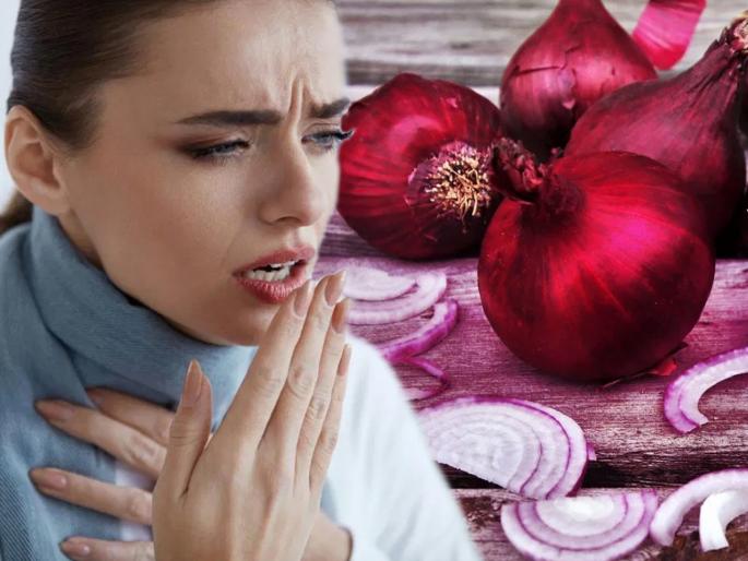 How red onions can cure asthma api | केवळ लाल कांद्याने 'या' गंभीर आजारावर मिळवता येईल नियंत्रण, जाणून घ्या उपाय How red onions can cure asthma api | केवळ लाल कांद्याने 'या' गंभीर आजारावर मिळवता येईल नियंत्रण, जाणून घ्या उपाय