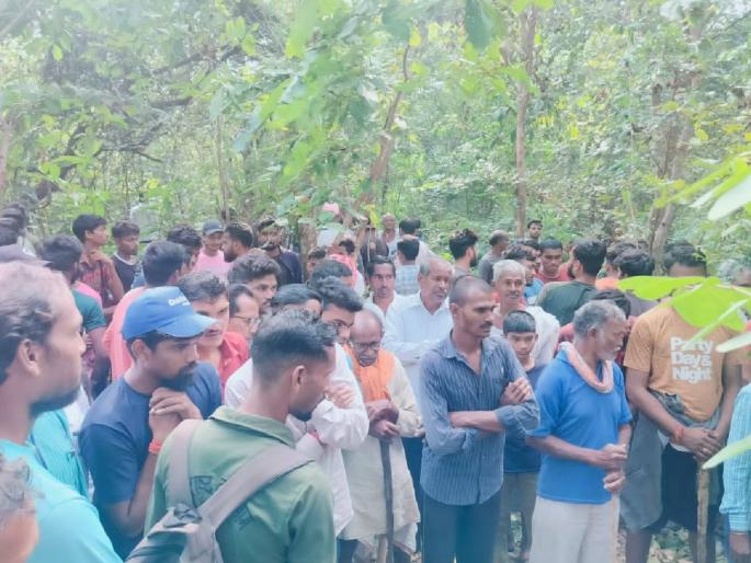 A tiger attacked the mother in front of the girl's eyes, she died on the spot in the attack | लेकीच्या डोळ्यादेखत आईवर वाघाची झडप, हल्ल्यात जागीच मृत्यू; वाकडीच्या जंगलातील घटना A tiger attacked the mother in front of the girl's eyes, she died on the spot in the attack | लेकीच्या डोळ्यादेखत आईवर वाघाची झडप, हल्ल्यात जागीच मृत्यू; वाकडीच्या जंगलातील घटना