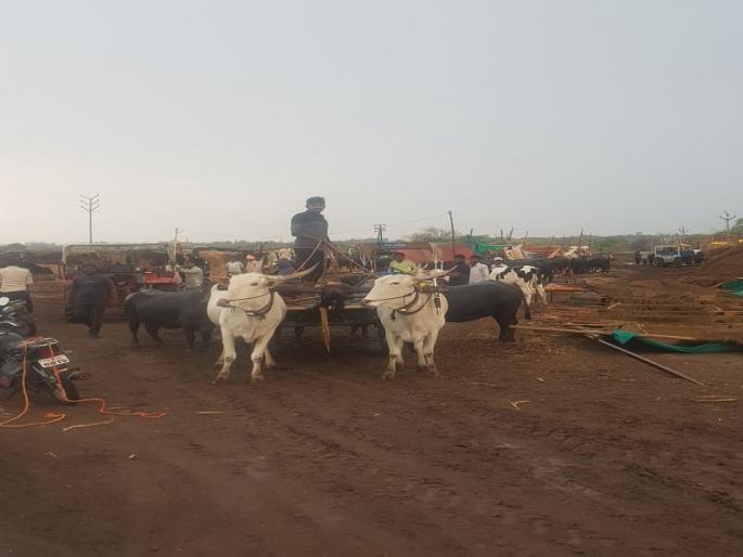 After 70 days of compulsion, the camp will be 'Bye-Bye' | ७० दिवसांच्या मुक्कामानंतर छावणीला ‘बाय-बाय’ : पावसाची जोरदार सलामी After 70 days of compulsion, the camp will be 'Bye-Bye' | ७० दिवसांच्या मुक्कामानंतर छावणीला ‘बाय-बाय’ : पावसाची जोरदार सलामी