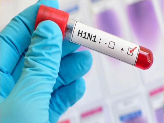 Four victims of swine flu, 33 infected in Kolhapur district | Swine flu: कोल्हापूर जिल्ह्यात स्वाइन फ्लूचे चार बळी, ३३ जणांना झाली लागण Four victims of swine flu, 33 infected in Kolhapur district | Swine flu: कोल्हापूर जिल्ह्यात स्वाइन फ्लूचे चार बळी, ३३ जणांना झाली लागण