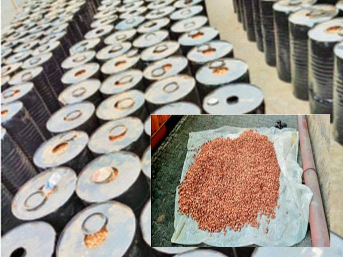 1.12 lakh kg of betel nuts seized in Nhava-Sheva port | न्हावा-शेवा बंदरात १.१२ लाख किलो सुपारी जप्त 1.12 lakh kg of betel nuts seized in Nhava-Sheva port | न्हावा-शेवा बंदरात १.१२ लाख किलो सुपारी जप्त
