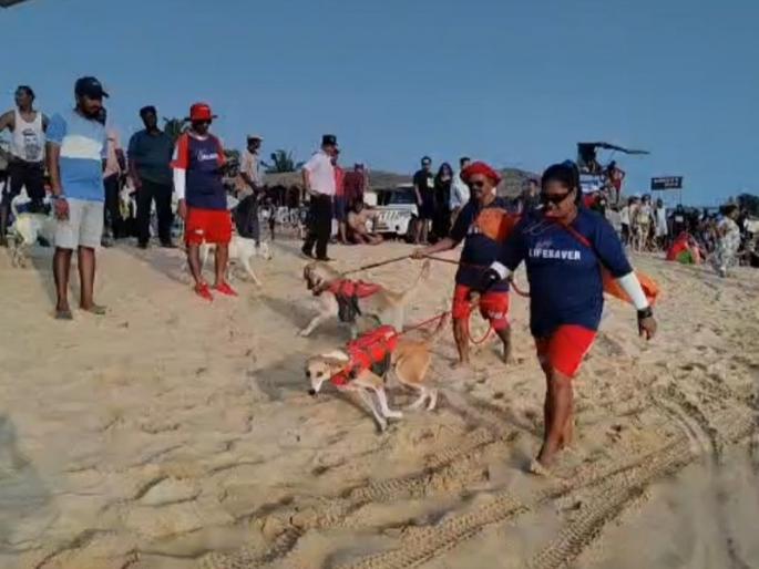 Squads of dogs now trained to save lives on shore in goa | किनाऱ्यावर जीव वाचवण्यासाठी आता प्रशिक्षित श्वानांचे पॉ स्क्वॉड Squads of dogs now trained to save lives on shore in goa | किनाऱ्यावर जीव वाचवण्यासाठी आता प्रशिक्षित श्वानांचे पॉ स्क्वॉड