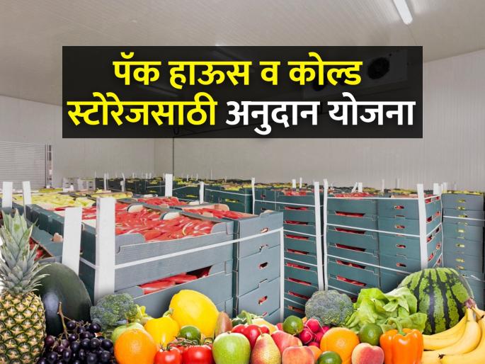 Where to apply for subsidy of pack house, cold storage, refrigerator van, ripening chamber and cold chain? | पॅक हाऊस, कोल्ड स्टोरेज, रेफ्रिजरेटर व्हॅन, रायपनिंग चेंबर व कोल्ड चेन अनुदानासाठी कुठे कराल अर्ज? Where to apply for subsidy of pack house, cold storage, refrigerator van, ripening chamber and cold chain? | पॅक हाऊस, कोल्ड स्टोरेज, रेफ्रिजरेटर व्हॅन, रायपनिंग चेंबर व कोल्ड चेन अनुदानासाठी कुठे कराल अर्ज?