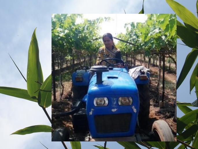 Success story of Dabhadi woman farmer Bhavana Nikam | भावनाताईंचा प्रवास आधुनिक शेतीकडून एफपीओच्या उद्योजकतेकडे Success story of Dabhadi woman farmer Bhavana Nikam | भावनाताईंचा प्रवास आधुनिक शेतीकडून एफपीओच्या उद्योजकतेकडे