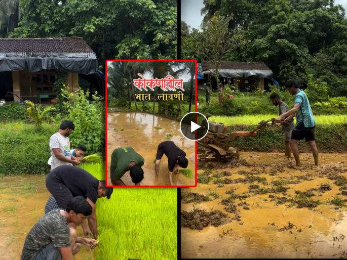 maharashtrachi hasyajatra fame actor nikhil bane farming in kokan watch video | शेतात रमला 'महाराष्ट्राची हास्यजत्रा' फेम अभिनेता, कोकणात केली भातलावणी, व्हिडीओवर कौतुकाचा वर्षाव