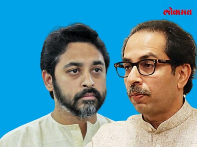 Narayan Rane: Nilesh Rane again slammed the Shiv Sena, Says, The Chief Minister, the ministers and the activists could not spoil anything for us | Narayan Rane: "मुख्यमंत्री, मंत्री आणि कार्यकर्त्यांनी टोकाचे प्रयत्न करूनही…’’ निलेश राणेंनी पुन्हा शिवसेनेला डिवचले  