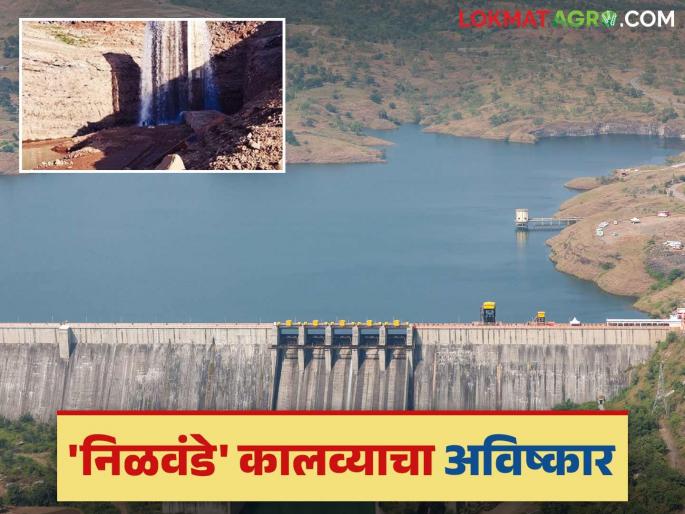 Even after the water level in Nilwande Dam decreases, water will be available through canals; This is a new experiment | निळवंडे धरणातील पाणी पातळी कमी झाल्यावरही कालव्यांद्वारे मिळणार पाणी; केला हा नवीन प्रयोग Even after the water level in Nilwande Dam decreases, water will be available through canals; This is a new experiment | निळवंडे धरणातील पाणी पातळी कमी झाल्यावरही कालव्यांद्वारे मिळणार पाणी; केला हा नवीन प्रयोग