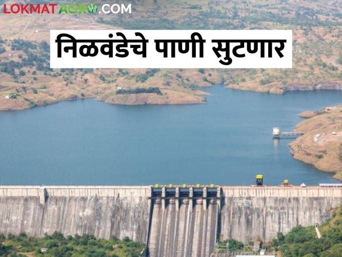 Decision to release water from the right canal of Nilwande | संक्रांतीच्या मुहूर्तावर निळवंडे धरणातून आवर्तन सोडले, जाणून घ्या सविस्तर Decision to release water from the right canal of Nilwande | संक्रांतीच्या मुहूर्तावर निळवंडे धरणातून आवर्तन सोडले, जाणून घ्या सविस्तर