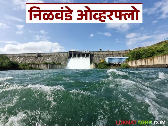 Nilwande Dam Update : Nilwande Dam filled to full capacity; 3 thousand cusecs of water released into Pravara river | Nilwande Dam Update : निळवंडे धरण पूर्ण क्षमतेने भरले; प्रवरा नदीत ३ हजार क्यूसेकने विसर्ग सुरु