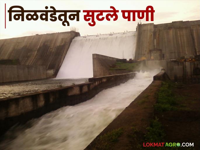 Summer water circulation released from Nilwande; 250 cusecs discharged from left canal and 200 cusecs from right canal | निळवंडेतून उन्हाळी आवर्तन सोडले; डाव्या कालव्यातून २५० तर उजव्यातून २०० क्युसेकने विसर्ग Summer water circulation released from Nilwande; 250 cusecs discharged from left canal and 200 cusecs from right canal | निळवंडेतून उन्हाळी आवर्तन सोडले; डाव्या कालव्यातून २५० तर उजव्यातून २०० क्युसेकने विसर्ग