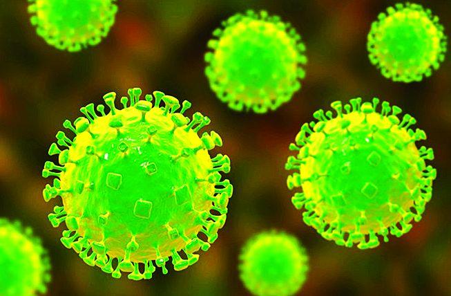 'Alert' in front of 'Nipah' in Nagpur | नागपुरात ‘निपाह’च्या पार्श्वभूमीवर ‘अलर्ट’ 'Alert' in front of 'Nipah' in Nagpur | नागपुरात ‘निपाह’च्या पार्श्वभूमीवर ‘अलर्ट’