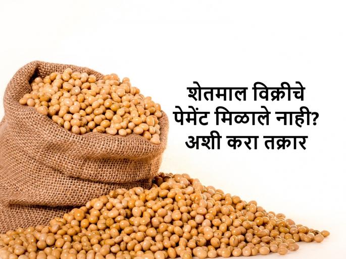 Nifad commission agent's license suspended by Lasalgaon apmc for arguing farmer | शेतकऱ्याशी अरेरावी केल्याने निफाडच्या आडतदाराचा परवाना निलंबित Nifad commission agent's license suspended by Lasalgaon apmc for arguing farmer | शेतकऱ्याशी अरेरावी केल्याने निफाडच्या आडतदाराचा परवाना निलंबित