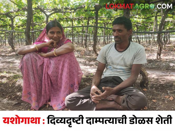 Latest News Grape farming of a blind couple, success story of farmer from Niphad | दिव्यदृष्टी दाम्पत्याची डोळस शेती पाहून तुम्हालाही हेवा वाटेल, एकदा वाचाच ही स्टोरी  Latest News Grape farming of a blind couple, success story of farmer from Niphad | दिव्यदृष्टी दाम्पत्याची डोळस शेती पाहून तुम्हालाही हेवा वाटेल, एकदा वाचाच ही स्टोरी
