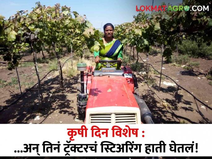 Latest News Kalpana Shankpal successful woman grape grower farmer from Karasul in Niphad taluka | Success story: पतीची दृष्टी गेली, पण ती डगमगली नाही, आज झालीय यशस्वी द्राक्ष उत्पादक  Latest News Kalpana Shankpal successful woman grape grower farmer from Karasul in Niphad taluka | Success story: पतीची दृष्टी गेली, पण ती डगमगली नाही, आज झालीय यशस्वी द्राक्ष उत्पादक
