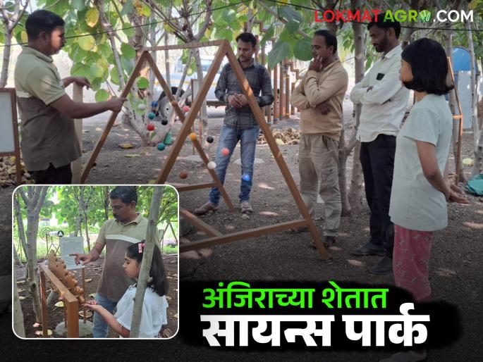 latest News farmer Success Story young man from Niphad set up science park in anjir farm, read success story | Farmer Success Story : निफाडच्या तरुणाने अंजिराच्या शेतात उभारला सायन्स पार्क, वाचा यशोगाथा  latest News farmer Success Story young man from Niphad set up science park in anjir farm, read success story | Farmer Success Story : निफाडच्या तरुणाने अंजिराच्या शेतात उभारला सायन्स पार्क, वाचा यशोगाथा