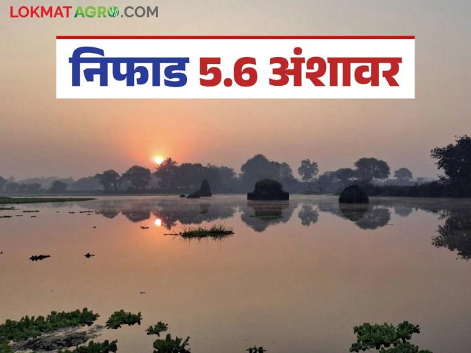 Latest News Nashik Winter Update Niphad records season's lowest temperature at 5.6 degrees, know details | Nashik Cold Wave : निफाड 5.6 अंशावर, हंगामातील निच्चांकी तापमानाची नोंद, जाणून घ्या सविस्तर  Latest News Nashik Winter Update Niphad records season's lowest temperature at 5.6 degrees, know details | Nashik Cold Wave : निफाड 5.6 अंशावर, हंगामातील निच्चांकी तापमानाची नोंद, जाणून घ्या सविस्तर
