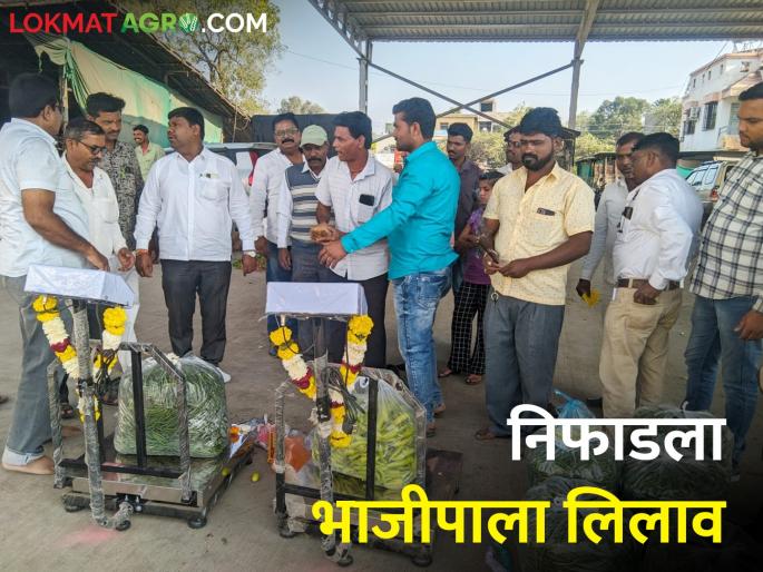 Latest News Vegetable auction starts from today in Niphad sub market committee | निफाड उपबाजार समितीत आजपासून भाजीपाला लिलाव सुरू Latest News Vegetable auction starts from today in Niphad sub market committee | निफाड उपबाजार समितीत आजपासून भाजीपाला लिलाव सुरू
