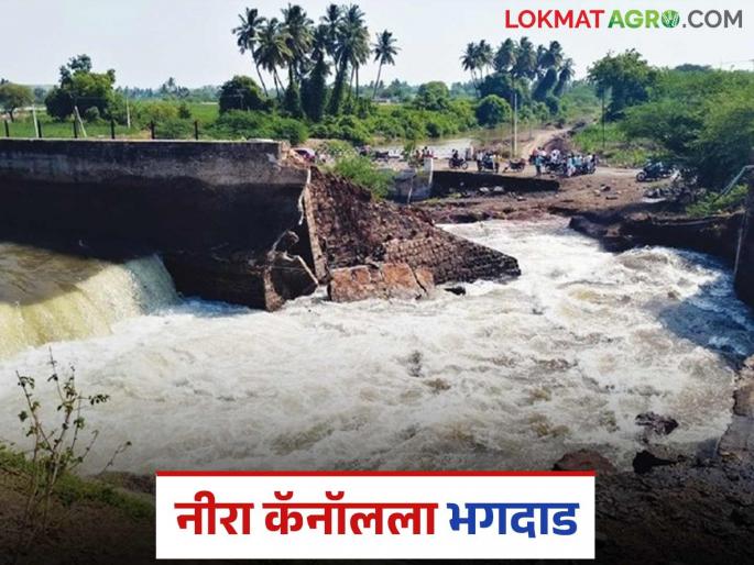 Nira Cana : The leak was supposed to be stopped in the morning, but the canal burst in the early hours of the morning; Lakhs of liters of water wasted | Nira Canal : सकाळी गळती थांबविणार होते, पहाटेच कॅनॉल फुटला; लाखो लिटर पाणी वाया