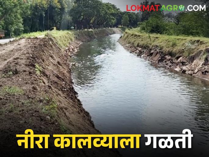 15 days duration for Nira Canal leak repair | Nira Canal नीरा कालवा गळती दुरुस्तीला लागणार १५ दिवसांचा कालावधी 15 days duration for Nira Canal leak repair | Nira Canal नीरा कालवा गळती दुरुस्तीला लागणार १५ दिवसांचा कालावधी