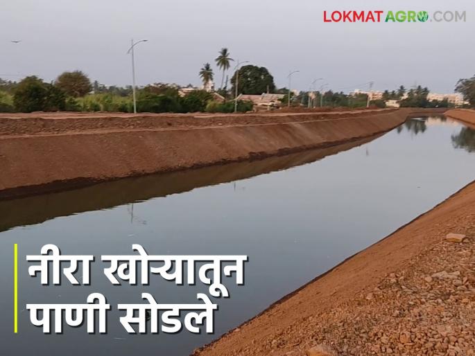 Nira Canal : Second cycle of water for Rabi season begins from this dam in Nira Valley | Nira Canal : नीरा खोऱ्यातील या धरणातून रब्बी हंगामासाठी दुसरे आवर्तन सुरू Nira Canal : Second cycle of water for Rabi season begins from this dam in Nira Valley | Nira Canal : नीरा खोऱ्यातील या धरणातून रब्बी हंगामासाठी दुसरे आवर्तन सुरू