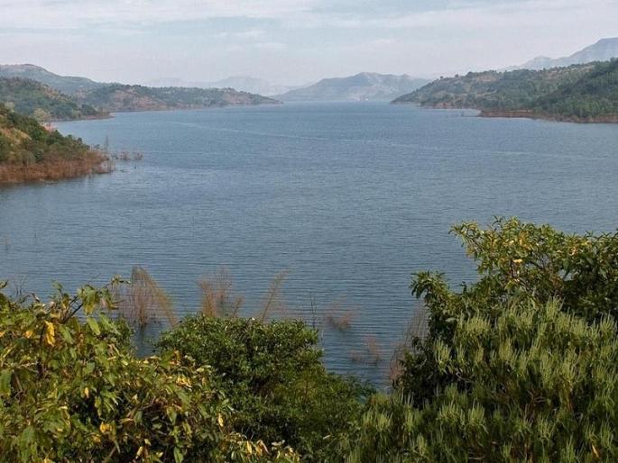 14 percent less water storage in the dams in Neera valley compared to last year | नीरा खोऱ्यांतील धरणांत गतवर्षीच्या तुलनेत १४ टक्के पाणीसाठा कमी 14 percent less water storage in the dams in Neera valley compared to last year | नीरा खोऱ्यांतील धरणांत गतवर्षीच्या तुलनेत १४ टक्के पाणीसाठा कमी